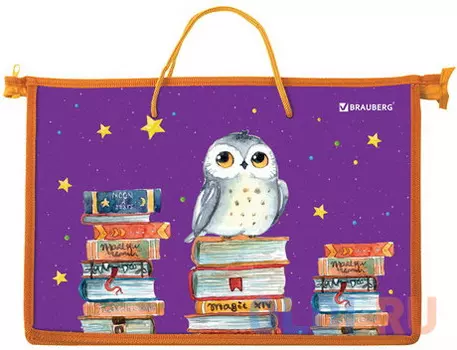 Папка на молнии с ручками BRAUBERG, А4, 1 отделение, пластик, цветная печать, молния сверху, Сова на книгах, 228156