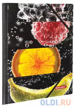 Папка на резинках BRAUBERG "Fresh zone", А4, цветная печать, до 300 листов, 500 мкм, 228036