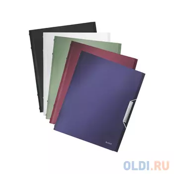 Папка с отделениями и разделителями LEITZ STYLE, 6 разделов, белая сталь