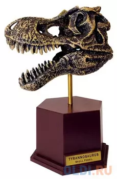 Пазл 34 элемента Fame Master 4D Череп тиранозавра 26442