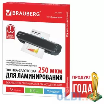 Пленки-заготовки для ламинирования BRAUBERG, комплект 100 шт., для формата А3, 250 мкм, 531779