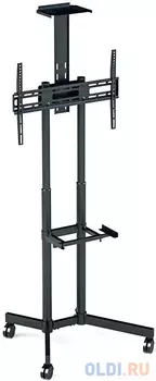 Подставка для телевизора Arm Media PT-STAND-8 черный 32"-80" макс.50кг напольный фиксированный