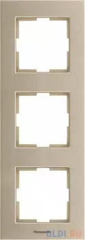 Рамка Panasonic WKTF08133AR-RU