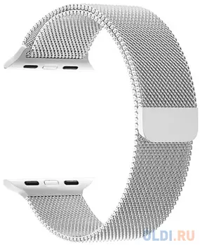 Ремешок Lyambda Capella для Apple Watch серебристый DS-APM02/2-44-SL