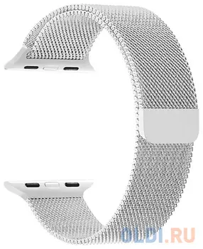 Ремешок Lyambda DS-APM02/2-40-SL Универсальный серебристый