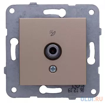 Розетка телевизионная Panasonic Karre Plus & Arkedia Slim (WKTT04542BR-RU) скрыт. IP20 бронза (упак.:1шт)