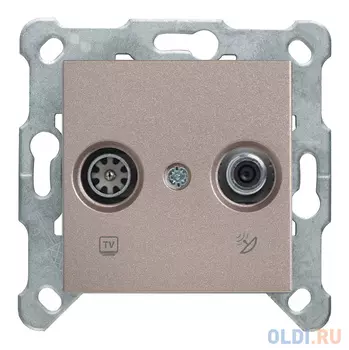 Розетка телевизионная Panasonic Karre Plus & Arkedia Slim (WKTT04602BR-RU) скрыт. IP20 бронза (упак.:1шт)