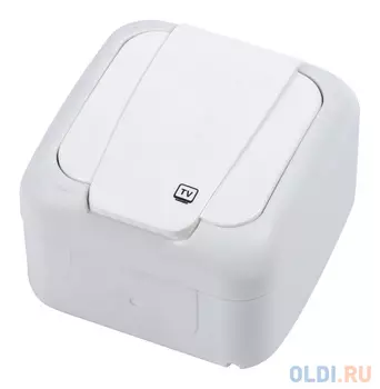 Розетка телевизионная Panasonic Palmiye (90555459-RU) откр. IP54 белый (упак.:1шт)