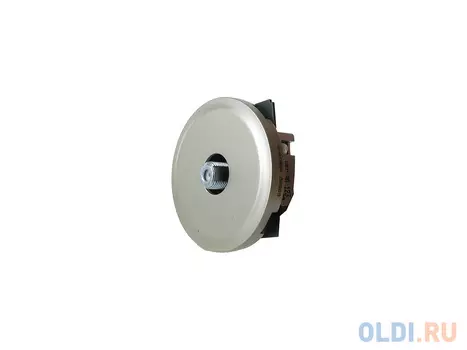 Розетка TV Legrand Celiane белый 67380