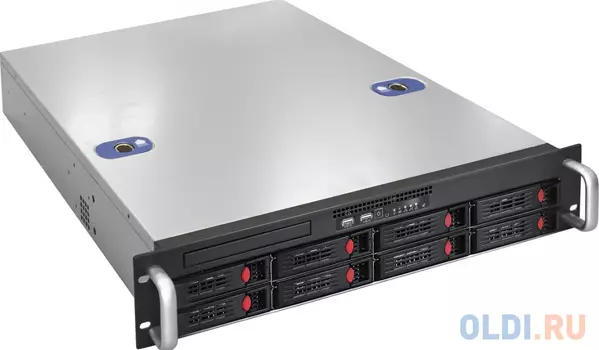 Серверная платформа ExeGate Pro 2U550-HS08 