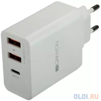 Сетевое зарядное устройство Canyon CNE-CHA08W 2.4А белый