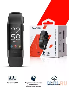 Smart Band, colorful 0.96inch TFT, ECG+PPG function, IP67 waterproof, multi-sport mode, compatibility with iOS and android, battery 105mAh, Black, ho