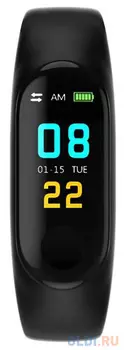 Смарт-браслет Smarterra FitMaster Color TFT черный/черный (SMFT-C01B)