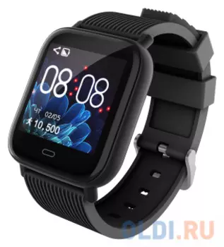 Смарт-часы Jet Sport SW-2 1.3" LCD черный (SW-2 BLACK)