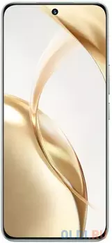 Смартфон HONOR 200 8+256Gb зеленый (5109BFKC)