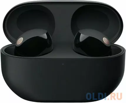 Sony headphone black model: WF-1000XM5