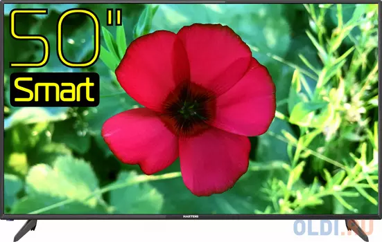 Телевизор Hartens HTV-50F01-T2C/A7/B 50" LED Full HD