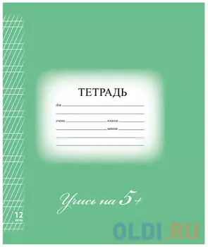 Тетрадь 12 л. BRAUBERG ЭКО "5-КА", частая косая линия, обложка картон, ЗЕЛЕНАЯ, 104766