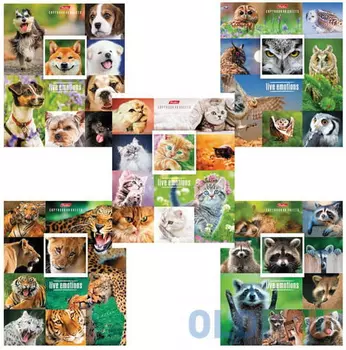 Тетрадь 48 л., HATBER, клетка, обложка мелованный картон, "Живые эмоции", 48Т5В1, T242551