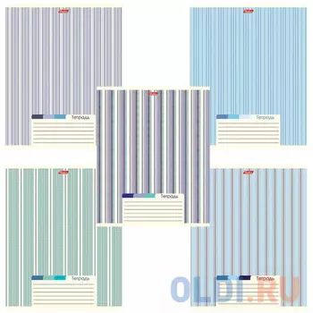 Тетрадь 48 л. HATBER, линия, обложка мелованный картон, "LINE", 48Т5В2, T277744