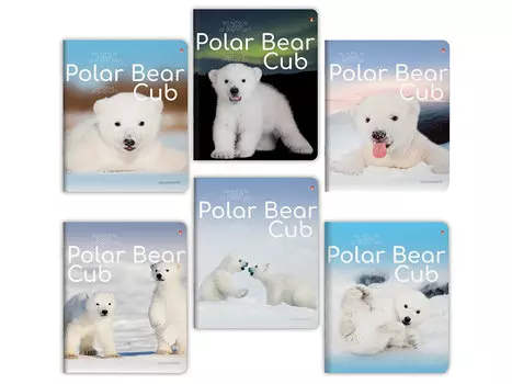 Тетрадь 48 листов, АЛЬТ, клетка, иридиум, "Белые медвежата" (6 видов)