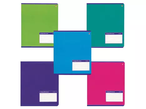 Тетрадь 48 листов, АЛЬТ, линия, выборочный лак, "Классика", 7-48-899/2 (5 видов)