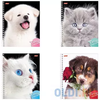 Тетрадь 80 л., HATBER, гребень, клетка, обложка мелованный картон, "Пушистые мордочки", 80Т5В1гр, T213551