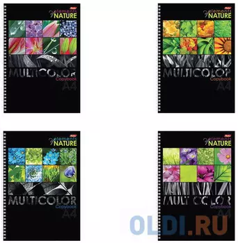 Тетрадь 96 л., А4, HATBER, гребень, клетка, выборочный лак, "Multicolor", 96Т4вмВ3гр, T213698