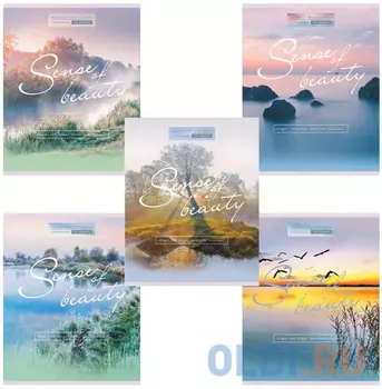 Тетрадь 96 л. HATBER VK, клетка, обложка мелованный картон, "Sense of beauty", 96Т5C1, T269374