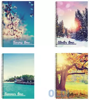 Тетрадь А4, 96 л., BRAUBERG, гребень, клетка, обложка картон, 4 СЕЗОНА, 403071