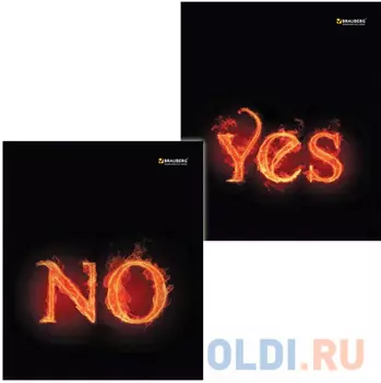 Тетрадь А5, 48 л., BRAUBERG ЭКО, клетка, обложка картон, ОГОНЬ, 401289