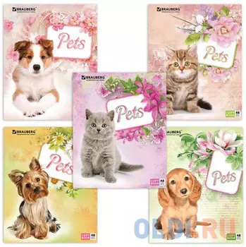 Тетрадь А5, 48 л., BRAUBERG ЭКО, клетка, обложка картон, ЛЮБИМЧИКИ, 401816