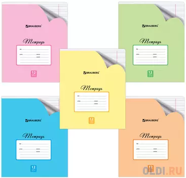 Тетрадь BRAUBERG Пастельная с уголком 12 листов узкая линия скрепка