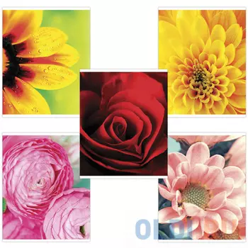 Тетрадь BRAUBERG ЯРКИЕ ЦВЕТЫ 48 листов клетка скрепка