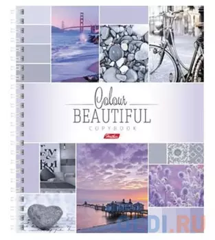 Тетрадь Hatber "Color Line" 120 листов клетка евроспираль