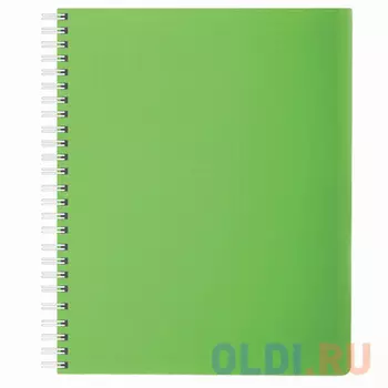 Тетрадь Hatber DIAMOND-зеленая 80 листов клетка евроспираль