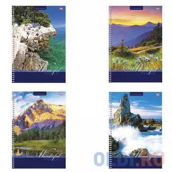 Тетрадь Hatber "Удивительный мир" 80 листов клетка евроспираль