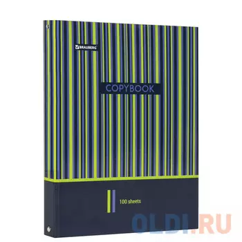 Тетрадь на кольцах А4 100 л. BRAUBERG А4 210х265 мм, клетка, глянцевая ламинация, "Полосы", 403273