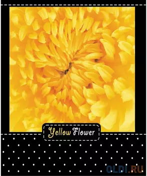 Тетрадь общая Action! Flower 48 листов клетка гребень ANS5-4801/5 в ассортименте