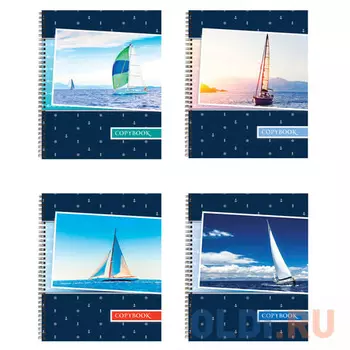 Тетрадь общая BRAUBERG МОРЕ 96 листов клетка евроспираль