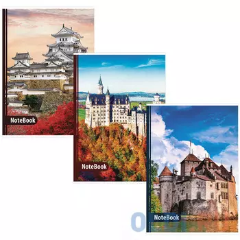 Тетрадь общая BRAUBERG ЗАМКИ 96 листов клетка скрепка