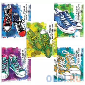 Тетрадь общая Hatber Яркие кеды 48 листов клетка скрепка