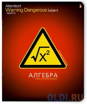 Тетрадь предметная ОЧЕНЬ ОПАСНЫЙ ПРЕДМЕТ "АЛГЕБРА", ф. А5, кл., 48 л.