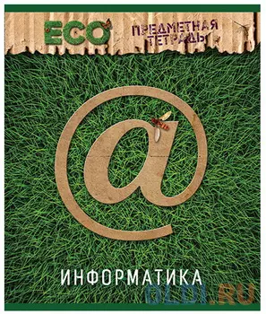 Тетрадь предметная серия ЭКО-информатика, кл., твин, лак, когрев, ф. А5, 48 л
