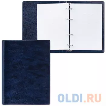 Тетрадь с кольцевым механизмом ДПС ДПС 90 листов клетка кольца