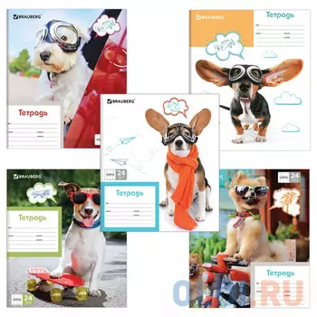 Тетрадь школьная BRAUBERG MY BEST FRIEND 24 листа клетка скрепка