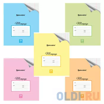 Тетрадь школьная BRAUBERG ПАСТЕЛЬНАЯ С УГОЛКОМ 24 листа клетка скрепка