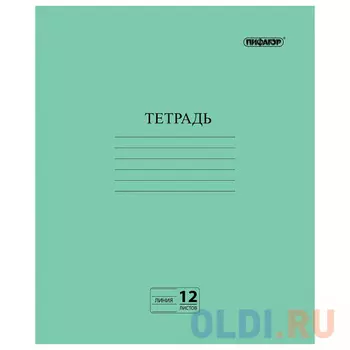 Тетрадь школьная ПИФАГОР Зелёная обложка 12 листов линейка скрепка