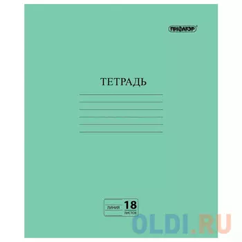 Тетрадь школьная ПИФАГОР Зелёная обложка 12 листов линейка скрепка