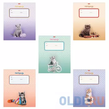 Тетрадь ученическая Hatber Котята 12 листов клетка скрепка